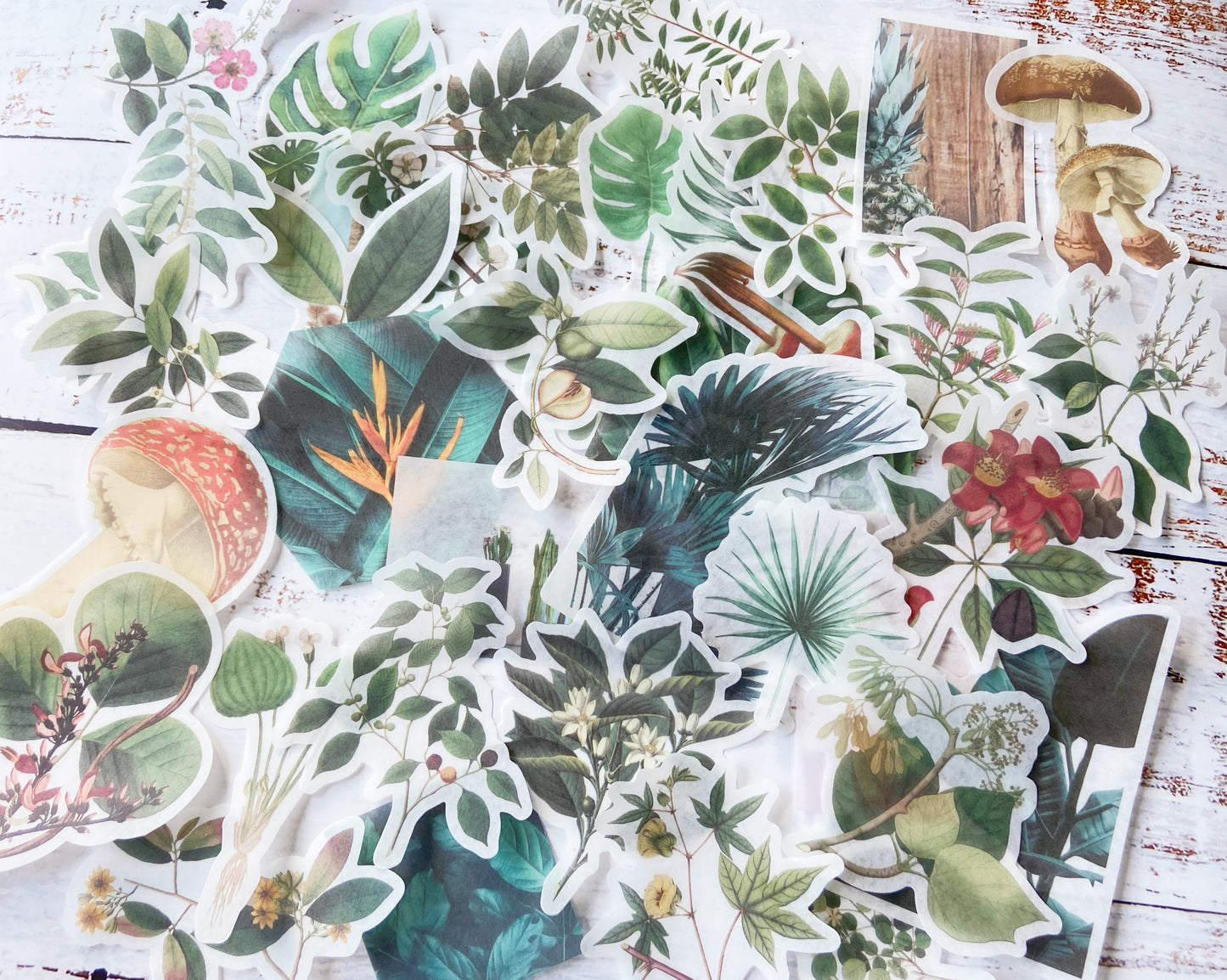 Botanical & Mushroom Washi Sticker