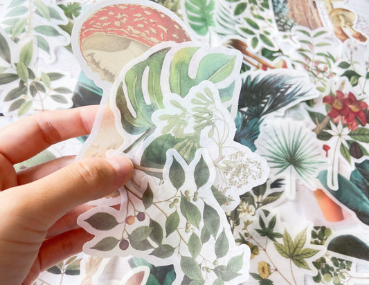 Botanical & Mushroom Washi Sticker
