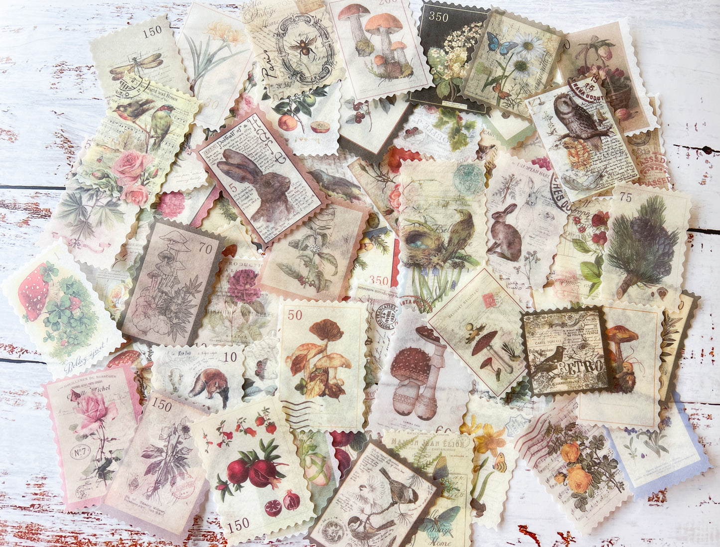 Vintage Stamp & Botanical Washi Sticker