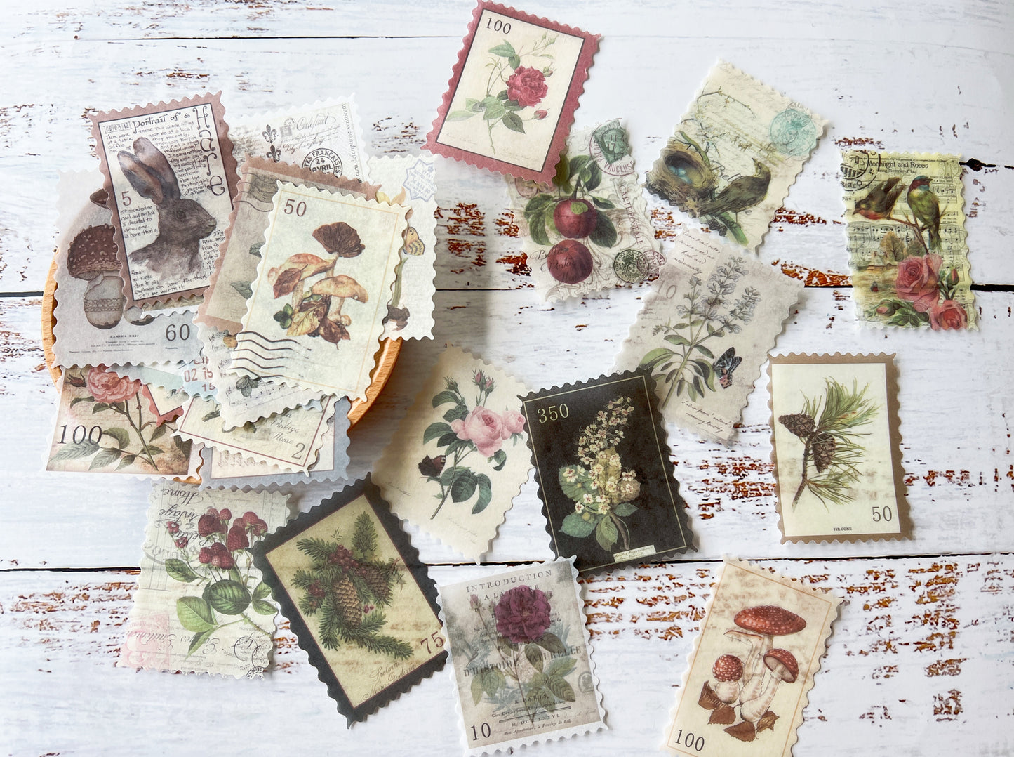 Vintage Stamp & Botanical Washi Sticker