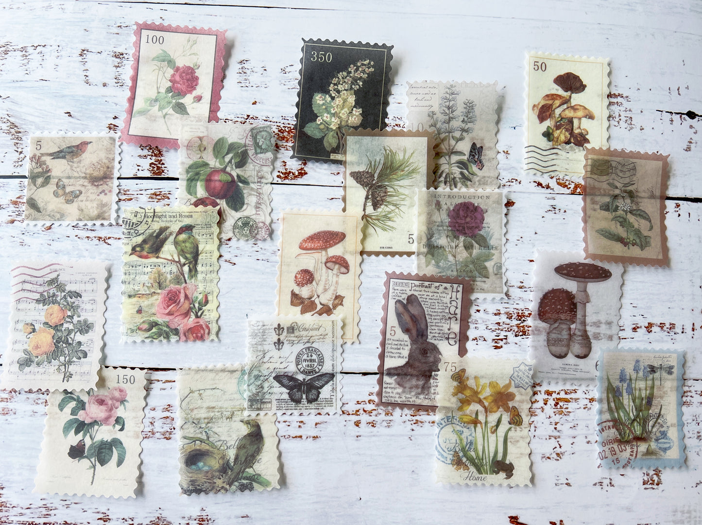 Vintage Stamp & Botanical Washi Sticker